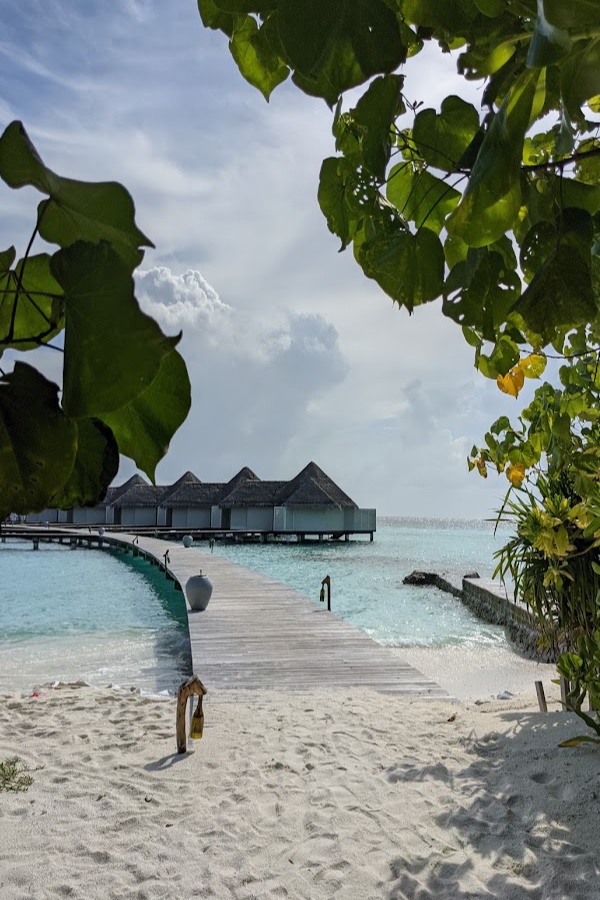 Cruise Brothers Travel Agent Jan Siderakis
